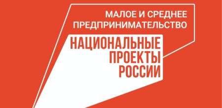 Более 338 млрд рублей получил бизнес за три квартала 2024 года под зонтичные поручительства